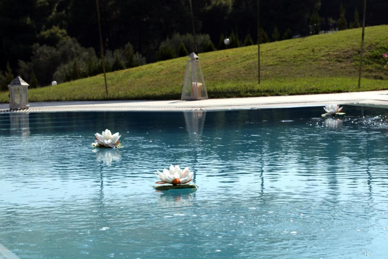 Villa Sourouko Παλιούρι Εξωτερικό φωτογραφία